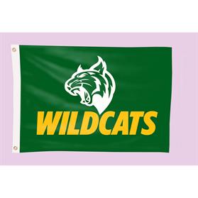 2-ft. H x 3-ft. W Team Flag (DOUBLE SIDED)